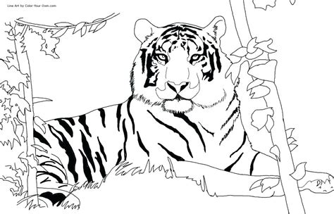 488x664 tiger cub scout coloring pages tiger cub scout coloring. Bear Cub Coloring Pages at GetColorings.com | Free ...