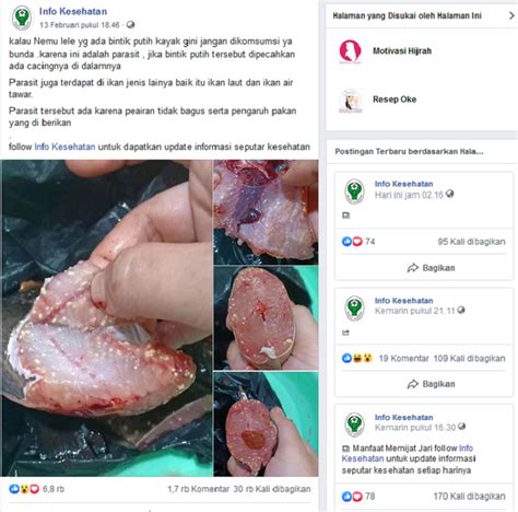 Sekumpulan belatung tengah menggeliat di antara kepala ikan goreng yang tengah disantap bersama sepiring nasi, sambal dan sayuran. Viral Foto Ikan Lele Berbintik Putih, Benarkah Dagingnya ...