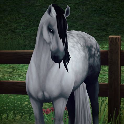 Enjoy this let's play video! My beautiful new baby! Grayboy all grow up | Star stable ...