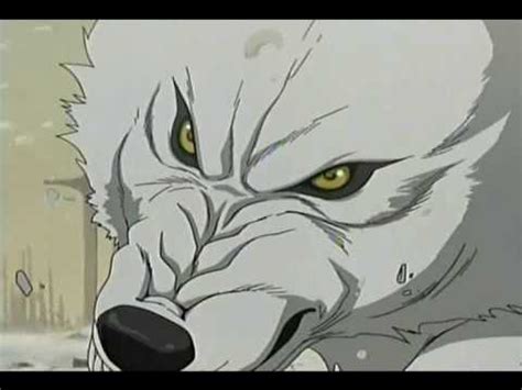 Looking for information on the anime wolf's rain? Wolf Rain Trailer - YouTube