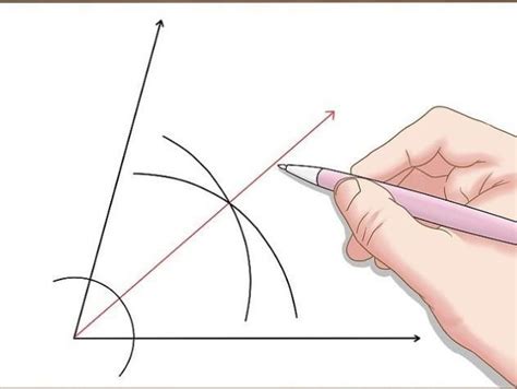 Complementary angles always have positive measures. draw a 65 degree angle and bisect it - Brainly.in