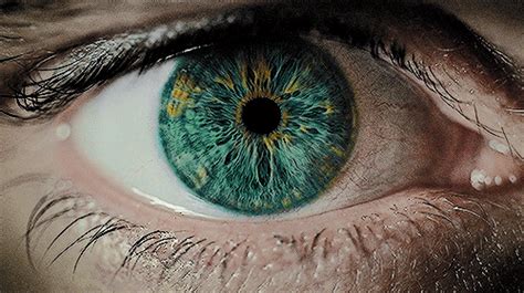 Stream tracks and playlists from melok on your desktop or mobile device. close up of eye pupils dilating gif | WiffleGif