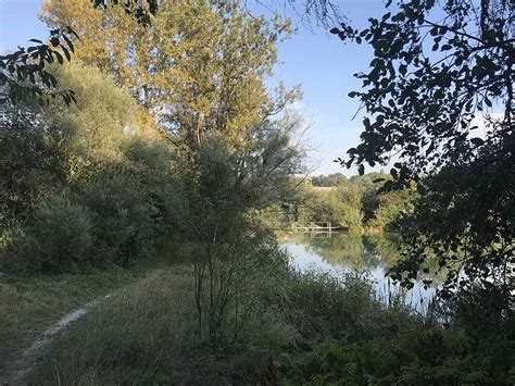 Ferienurlaub in strandnähe am hopfensee ist ebenso reizvoll wie camping im allgäu oder den. Nacktbaden & FKK in Bayern - Die schönsten Badeseen, FKK ...