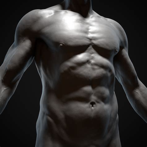 Start learning from the best resource! ArtStation - Male Anatomy Study, Cliff Schonewill