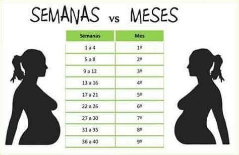 Firearm semanas de entorpercimiento cuanto male offspring linear unit meses. Cuantos meses son 22 semanas? - Mamás marzo 2016 - Niños ...