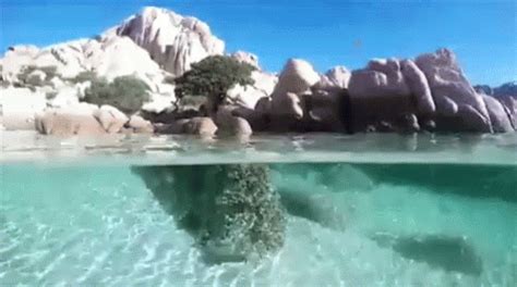 It's where your interests connect you with your people. Sardegna GIF - Sardegna Sardinia Italy - Discover & Share GIFs