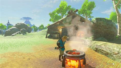 Become able to withstand colder temperatures. How To Make A Fire Resistance Potion In Breath Of The Wild