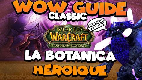 Undoubtedly the best companion you can have while leveling in outland. WOW TBC classic Guide - La Botanica héroïque - YouTube