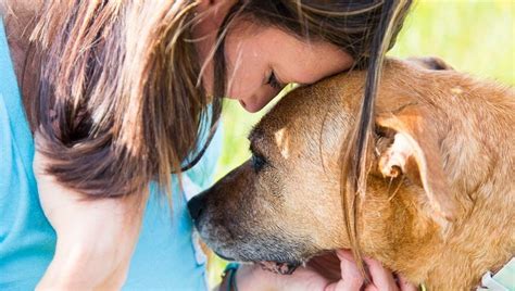 It was the strangers who didn't know what to say, she explains. 6 Horrible Things People Say To Someone Who Lost A Dog ...