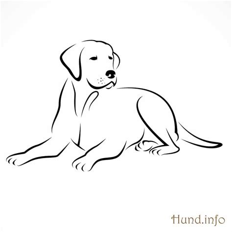 Die verschiedenen hunderassen mit ihrer vielzahl an besonderheiten stellen sich für kinder in ausmalbildern sehr deutlich dar. Ausmalbilder mit Hunden en 2020 | Dibujos de perros ...