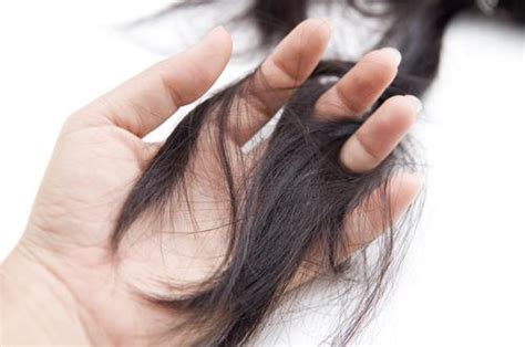 Punca utama rambut gugur selepas bersalin adalah hormon yang tidak stabil. Punca Rambut Gugur Selepas Bersalin