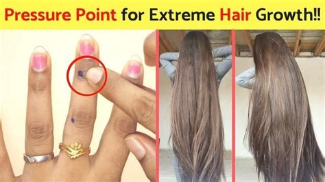 The pressure points at the fingernail beds can be pressed to stimulate hair growth and improve scalp health (3). Sujok for Hair Regrowth - Grow Hair Fast with Acupressure ...