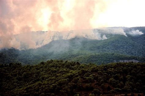 Les supporters des diables rouges ne peuvent plus voir. Incendies en Grèce: la Belgique propose ses services - Le Soir