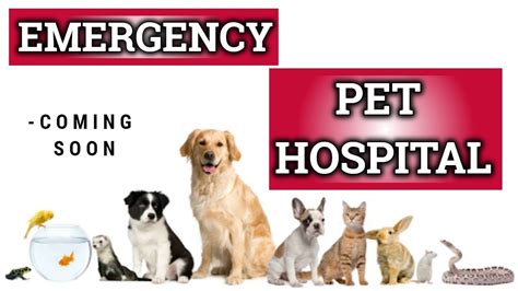 Finding a nearby veterinary hospital with an emergency vet on hand is most important. 24 hour Emergency Vet Naples-Ft Myers Florida- emergency ...