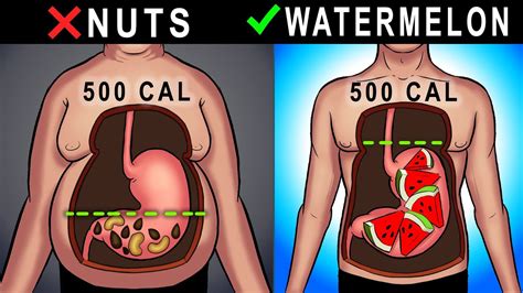 Incorporating more fiber into your diet is just one small change that can lead to big weight loss benefits, too. 11 Most Filling Foods for Weight Loss - YouTube