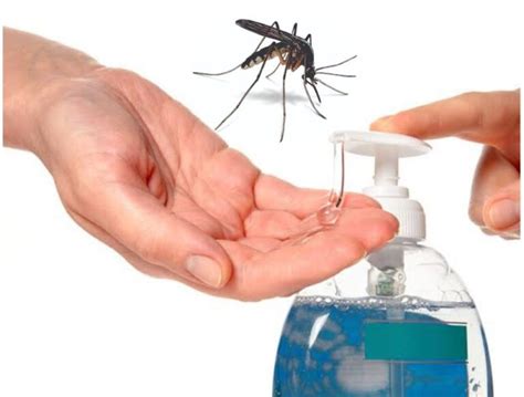 Find out what plants naturally repel mosquitos and how to use them. Does Hand Sanitizer Repel Mosquitoes - Public Health