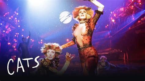 Maybe you would like to learn more about one of these? Macavity the Mystery Cat Part 2 | Cats the Musical Chords ...
