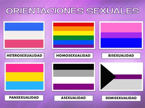 Todos y que define a aquellas personas que son atraídas por otras sin importar su inclinación sexual; Paseando por la mente: ORIENTACIONES SEXUALES: ¿Las ...