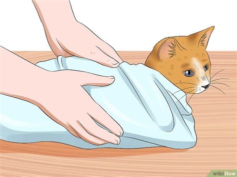 Bei einem einlauf leitet man flüssigkeit, zum beispiel wasser oder kontrastmittel, über den anus in den darm. Einer Katze zuhause einen Einlauf geben - wikiHow