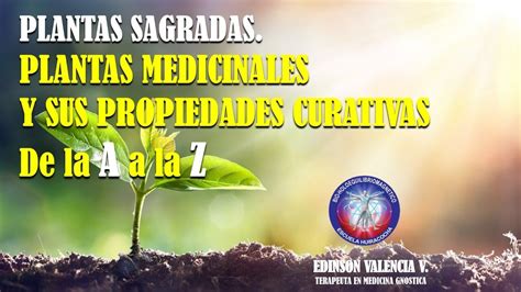 En el caso de padecer alguna enfermedad o condición médica especial, será el médico o un nutricionista el que recomiende qué alimentos son más son más adecuados de manera individual. 1ra parte PLANTAS SAGRADAS de la A a la Z PLANTAS ...