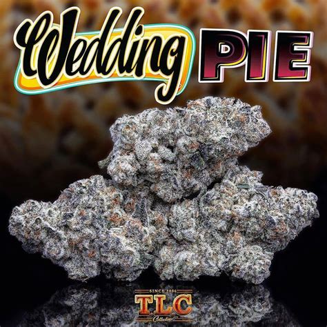 Unfortunately, the wedding cake strain doesn't really taste like a wedding cake, but rather earthy and sour. Wedding Pie - Jungle Boys Official