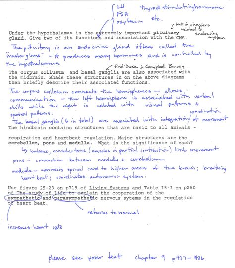 Dna wraps itself around proteins called histone. Transcription And Translation Practice Worksheet Answers ...