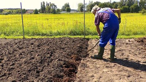 Il periodo più produttivo è sicuramente la primavera 39 pensieri su la preparazione del terreno per l'orto. Concimare l'orto - Ortaggi - Consigli per concimare l'orto