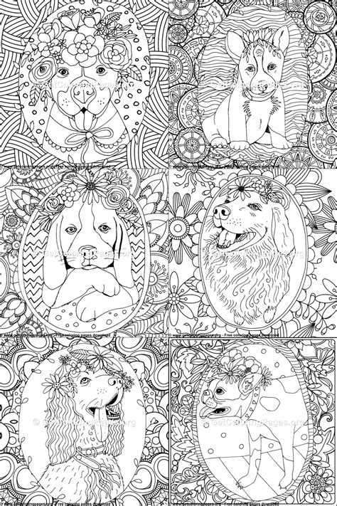 Please be respectful of copyright. Animal coloring pages pdf in 2021 | Animal coloring pages ...