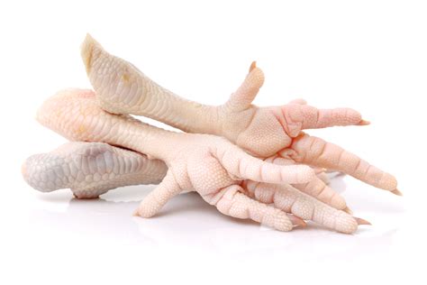 ¿cómo añadir patas de pollo al caldo? cuáles son los beneficios de las patas de pollo | Salud180