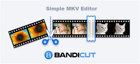 Adobe premiere pro is a video editing software that is included in the adobe creative cloud. Simple MKV Editor - Edit Your MKV Video Files with Bandicut