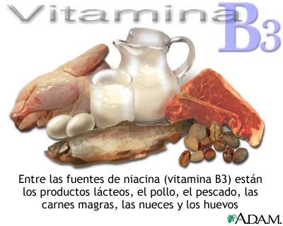 Para lograr esto es necesario saber. Fuentes de vitamina B3: MedlinePlus enciclopedia médica ...