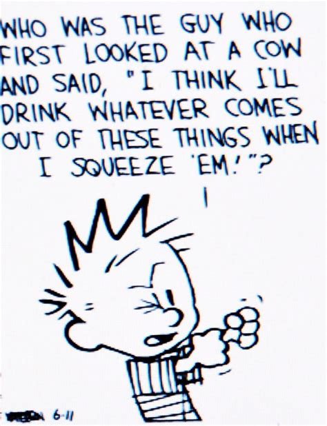 There's so many life lessons dancing around in the majority of the quotes taken from calvin and hobbes. Got milk? | Calvin and hobbes quotes, Funny cartoons ...