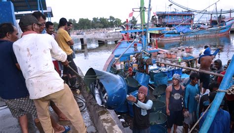 Harga ikan yang lebih murah dari pasaran ini lantaran pengelola berani mendatangkan pedagang ikan kakap langsung dari asalnya, seperti dari kawasan pantai utara (pantura) jepara, rembang, demak, rembang, kendal, gresik, lamongan, hingga banyuwangi dan pacitan. Harga Kain Per Meter Di Kota Pacitan - Beranda » canopy ...