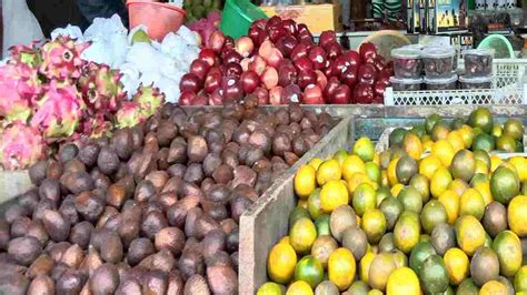 Dan seleinoja ciclaskan seboga) bush buahan. Harga Buah-buahan di Pangandaran Naik, Karena PKH Cair ...