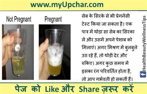 Prega news use karne ka tarika | prega news pregnancy test (प्रेगा न्यूज़ प्रेगनेंसी टेस्ट) in hindi. प्रेगनेंसी टेस्ट कब, कैसे करें और घरेलू उपाय - Ghar par pregnancy test (check) karne ka tarika ...