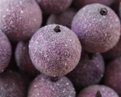 Check spelling or type a new query. Healthy Sugar Plum Recipe - Steward Health Care