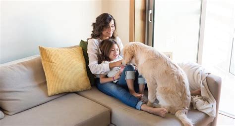 Shutterstock | a global marketplace for images, videos, and music. Casa y Más: Seis tips para mantener la casa limpia si ...