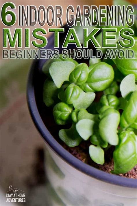 The following tips apply to most vegetables and can help you and most fruiting vegetables, like tomatoes and peppers, need full sun, meaning at least six hours of direct sunlight each day. 6 Indoor Gardening Mistakes Beginners Should Avoid ...