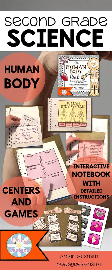 These human body worksheets and printables are suitable for grades 1 to the fourth grades. Human Body Unit | Second grade science, Human body unit ...
