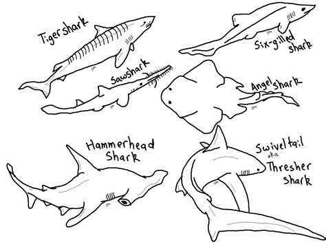 We've got shark coloring pages for all ages. Coloring Pages: Shark Coloring Pages Free and Printable