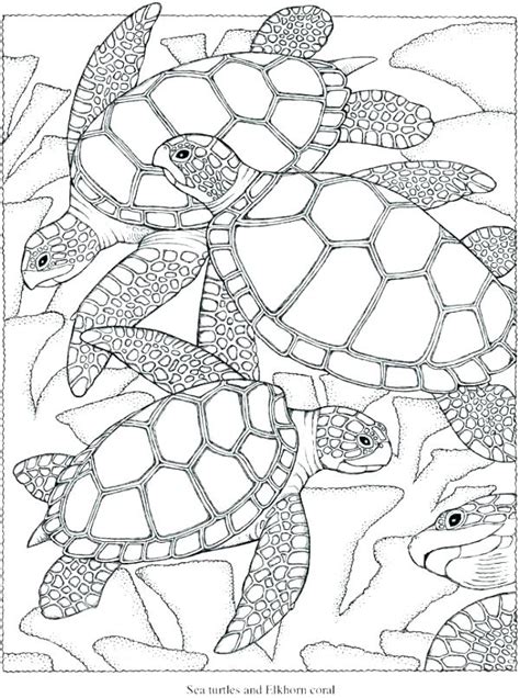 Fun free kids coloring pages to print and color. Difficult Christmas Coloring Pages For Adults at ...