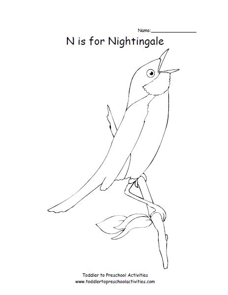 Download N is for Nightingale | Animal coloring pages, Coloring pages for kids, Coloring pages