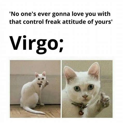 Sexuality traits of the zodiac sign virgo. Pin by Astral Dream .. 💙 on Astrology Memes and Zodiac Jokes | Virgo, Gonna love you, Animals