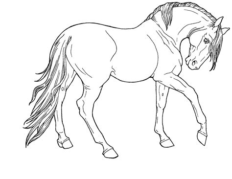 Are you looking for the best crazy animal drawings for your personal blogs, projects or designs, then clipartmag is the place just for you. The best free Wild drawing images. Download from 2629 free drawings of Wild at GetDrawings
