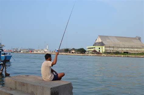 We did not find results for: Cerita Dari Pesisir Semarang - Albertna.com