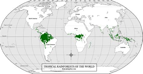 A tropical rainforest is one that lies between the tropic of cancer and the tropic of capricorn. Tropical Rainforest Biome Locations - nature wallpaper