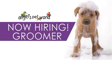 Please enter your address, city, state or zip code, so that we can display the businesses near you. Now Hiring Groomer Angel S Pet World In Hudson