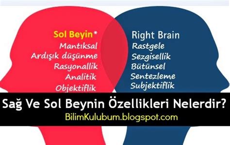 Mf bölümleri ve meslekleri nelerdir? gibi soruları cevaplandırmaya çalıştık. Sağ ve Sol Beynin İşlevleri | Bursa Özel Ders