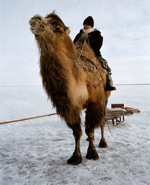 But the camel, being a vegetarian, was not so, the three animals thought of another plan. Panos Pictures - Stories - A Fisherman's Friend