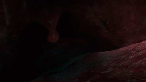 Information about finding nemo whale uvula. GIF by Ethan Shaw